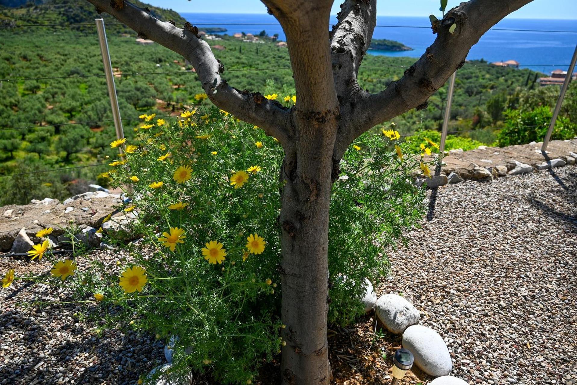 Athina'S Stone House In Kardamyli Villa Exterior photo